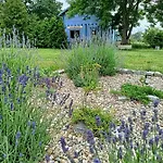 Semesterbostad Swierkowe Siedlisko Węgorzewo