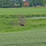 Swierkowe Siedlisko Semesterbostad