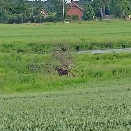 Swierkowe Siedlisko Ferienhaus